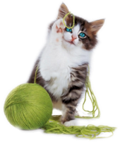 a kitty with green yarn